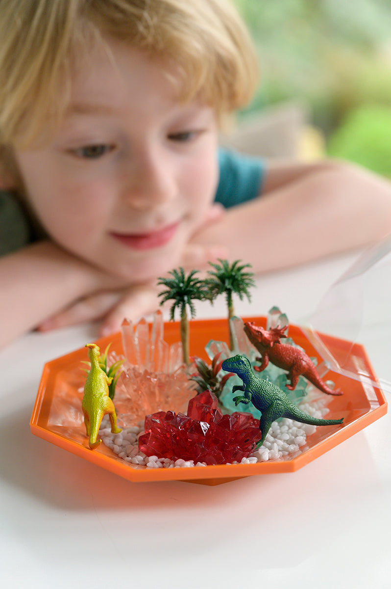 Crystal Growing - Dino Crystal Terrarium
