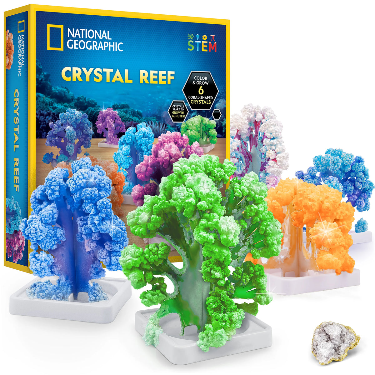 Nat Geo Crystal Reef Growing Lab
