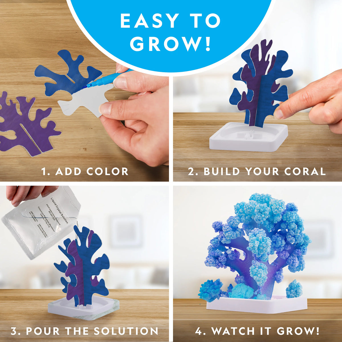 Nat Geo Crystal Reef Growing Lab