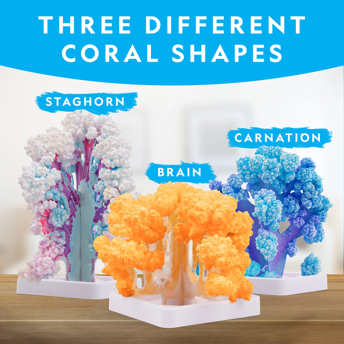 Nat Geo Crystal Reef Growing Lab
