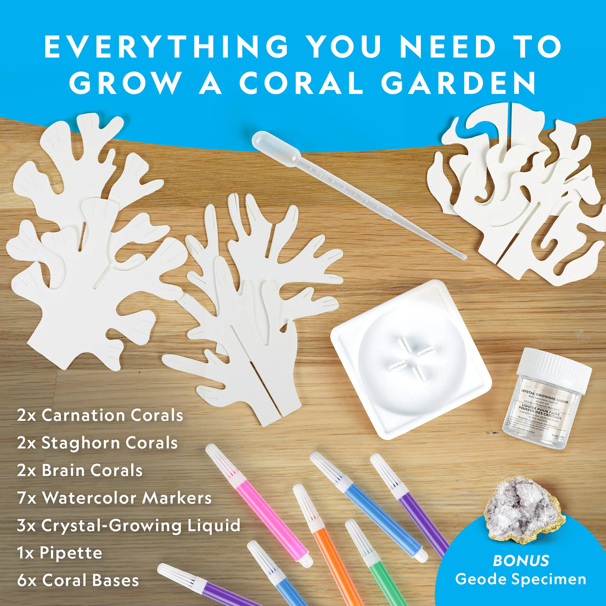 Nat Geo Crystal Reef Growing Lab