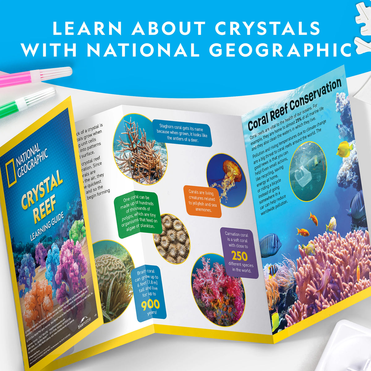 Nat Geo Crystal Reef Growing Lab