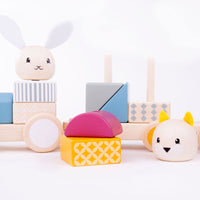Activity Pull Along Train - FSC® Certified - Bigjigs Toys 691621800126