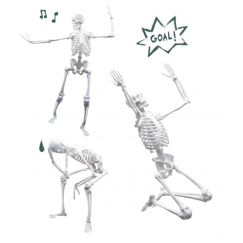 Buki Skeleton 45cm - Halilit