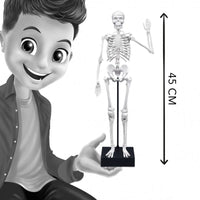 Buki Skeleton 45cm - Halilit