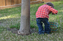 Easter Books - all the fun of Egg Hunt!