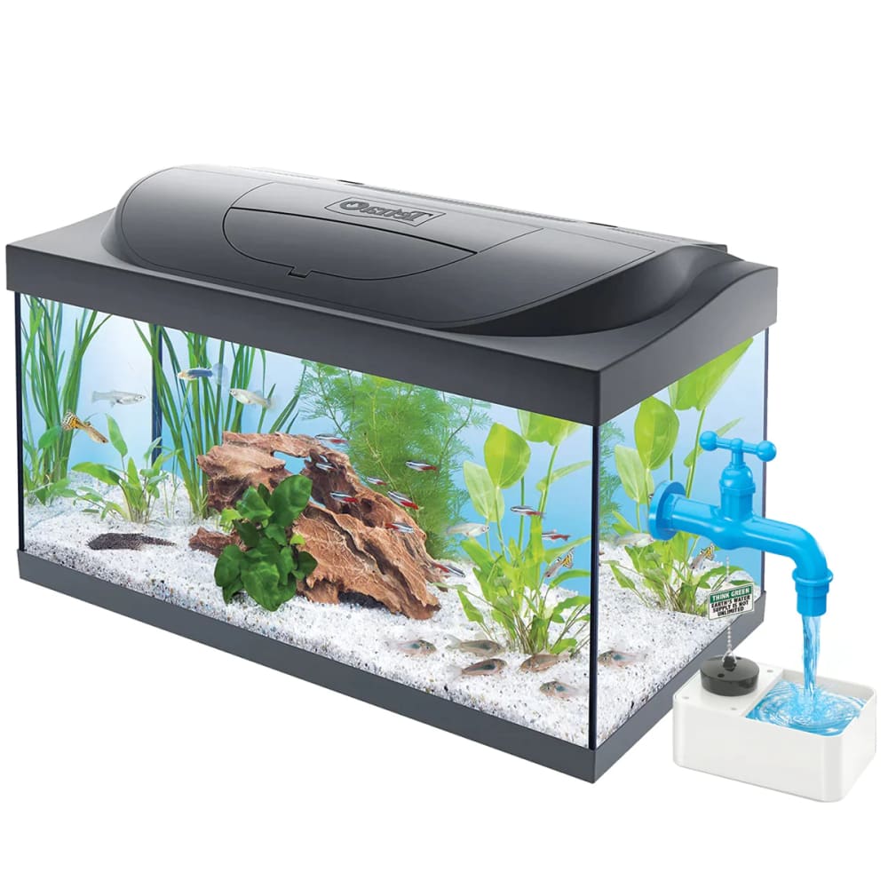 Green Science Magic Water Tap - 4M Great Gizmo