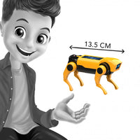MiniLab Robot Dog