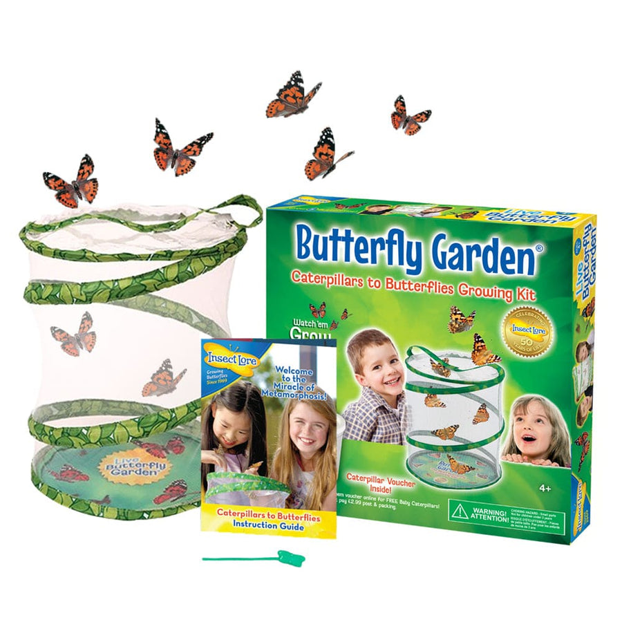 Butterfly Garden Kit with live voucher - Insect Lore 885977718666