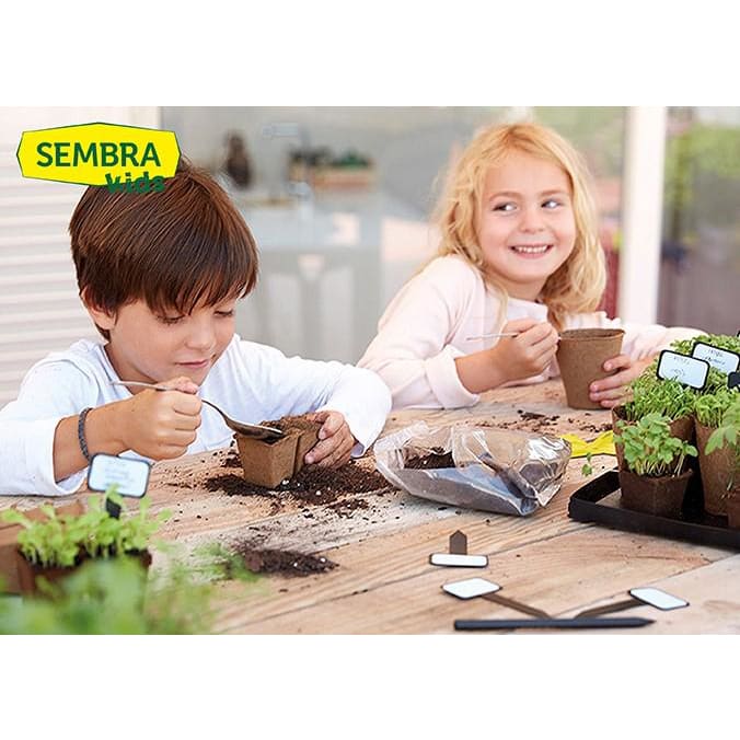 Grow your Own Summer Flowers - Traditional Garden Games 8437016560044